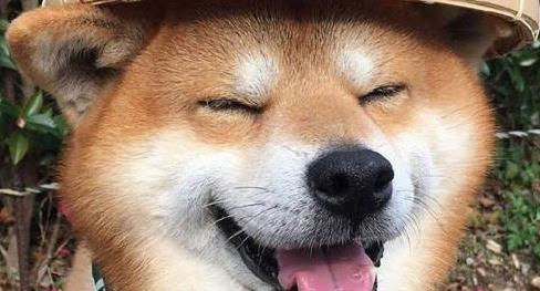 ΢Ц��Ϊʲô���ˣ�΢Ц��ͼƬ�ֲ�ͼƬ