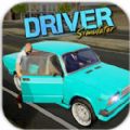 εδģİ׿棨Driver Simulator v1.0.6