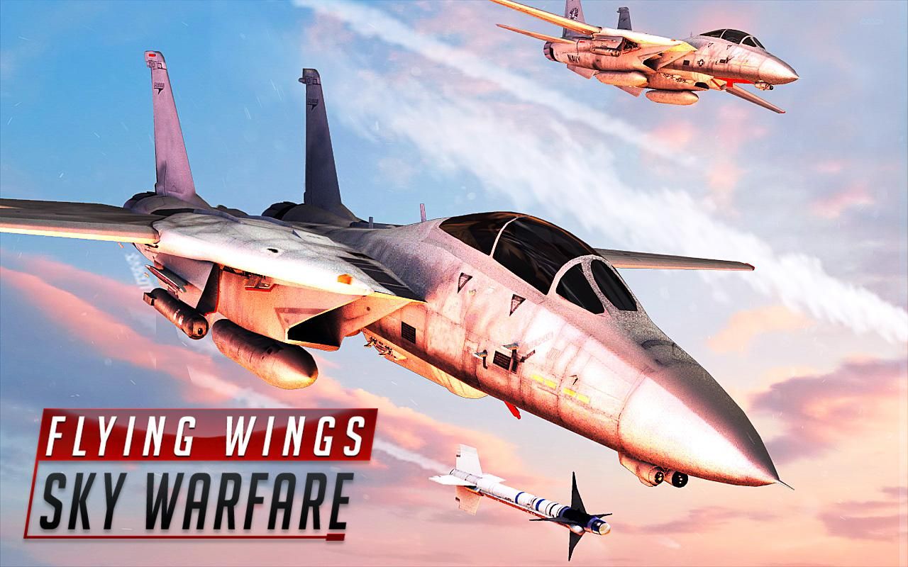 wՑ׿棨Flying Wings Sky WarfareD4: