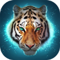 The Tiger��Ϸ�������İ� v1.2