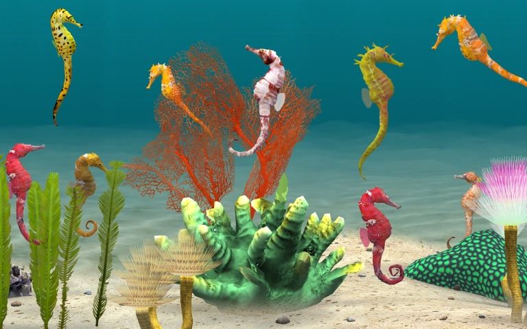 㳡3İ׿棨Fish Farm 3ͼ2: