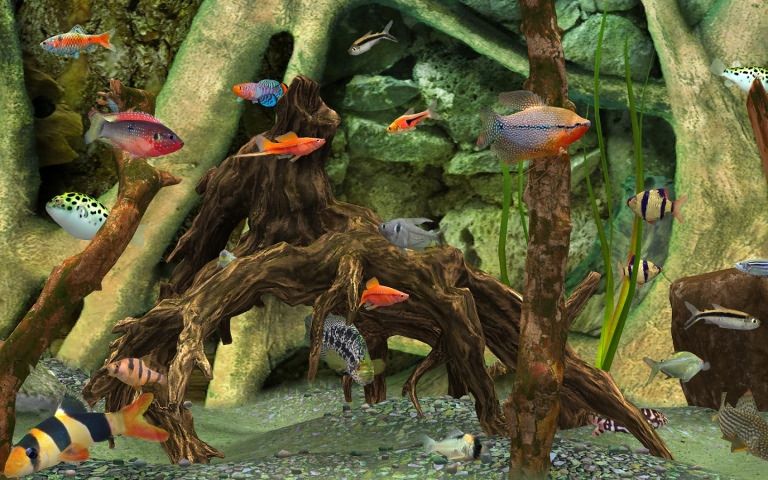 㳡3İ׿棨Fish Farm 3ͼ4: