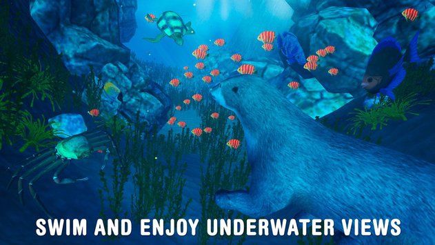 ˮ̡ģϷİ棨Sea Otter Survival Simulatorͼ2: