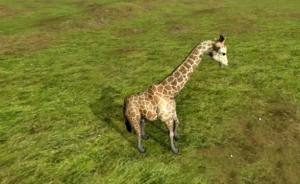 动物战争模拟器天灾最新版下载手机版图片1