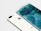 iPhone8plus�ߴ���٣�iPhone8plus���±���