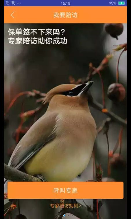 ���մ�ר�������ٷ��ֻ���app����ͼ3: