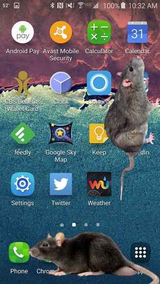 Ļİ׿棨Mouse in Handͼ4: