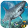 3D踴Ϸ׿أAngry Sea White Shark Revenge v1.0.3