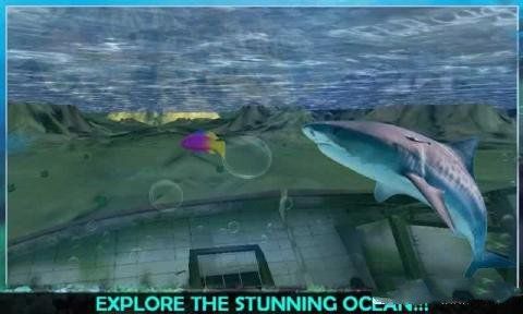 3D踴Ϸ׿أAngry Sea White Shark Revengeͼ1: