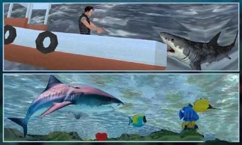 3D踴Ϸ׿أAngry Sea White Shark Revengeͼ3: