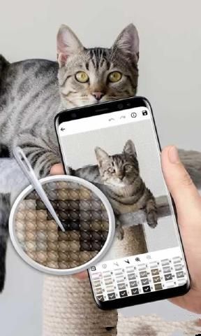 ʮİ׿棨Cross Stitch Joyͼ2: