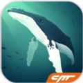�ˮ���1.4.8��׿���������°汾��Tap Tap Fish�� v1.4.8