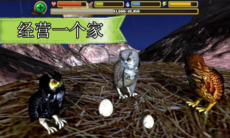 ģũèͷӥİ׿棨Owl Simulatorͼ1: