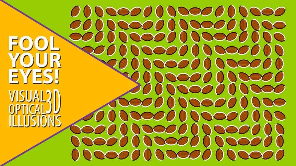 ĹѧþϷٷ׿أVisual optical illusions 3Dͼ2: