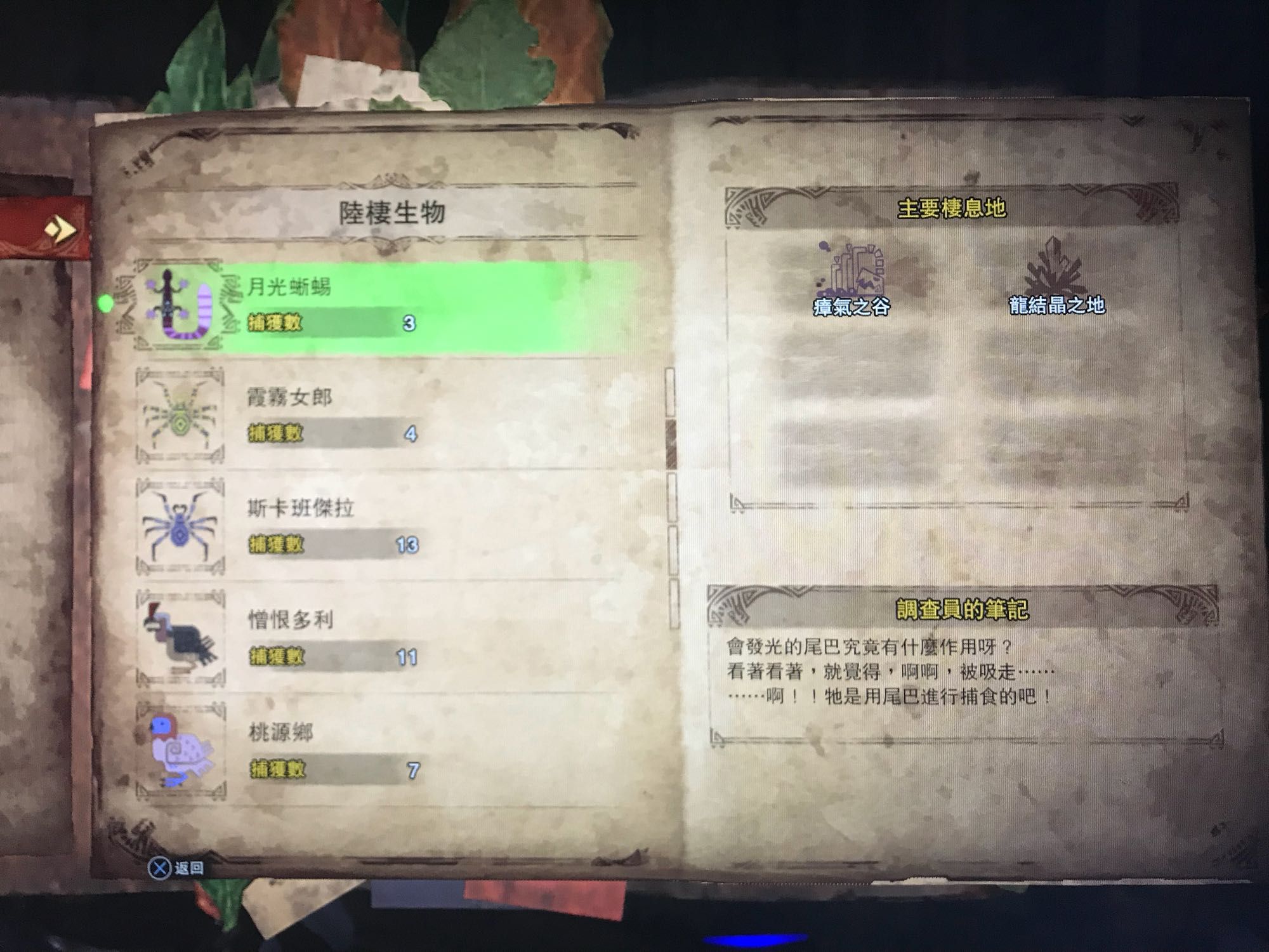 绷ȫ ｱһͼƬ2