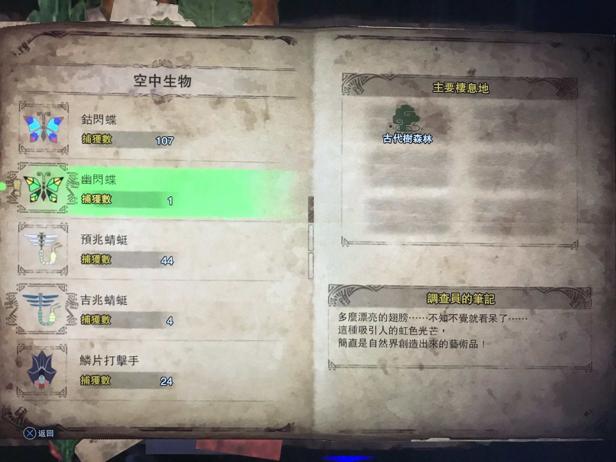 绷ȫ ｱһͼƬ5