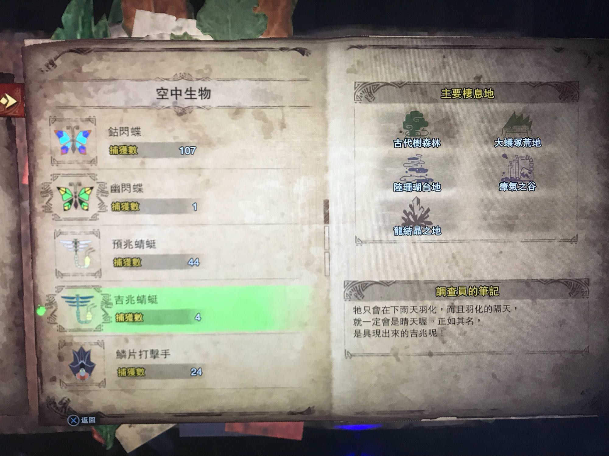 绷ȫ ｱһͼƬ6