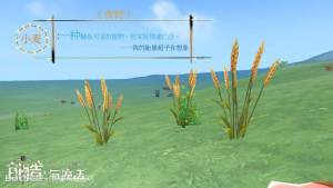 创造与魔法植物分布图植物图鉴汇总介绍 嗨客手机站