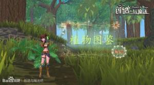 创造与魔法植物分布图植物图鉴汇总介绍 嗨客手机站