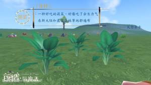 创造与魔法植物分布图植物图鉴汇总介绍 嗨客手机站