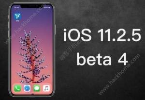 iOS11.2.5ʽʲôʱiOS11.2.5ʽʱͼƬ1