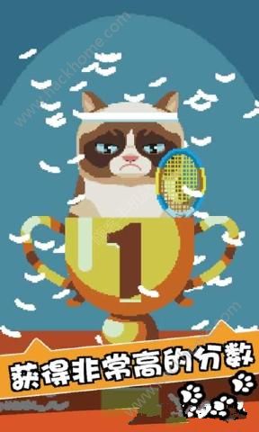 ƢⱩ؈[ٷ׿棨Grumpy CatD1: