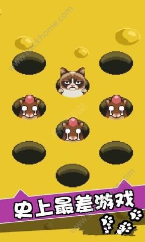 ƢⱩ؈[ٷ׿棨Grumpy CatD2: