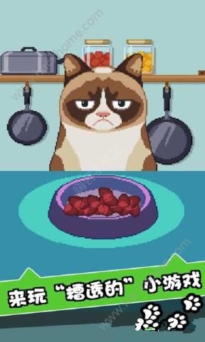 ƢⱩ؈[ٷ׿棨Grumpy CatD3: