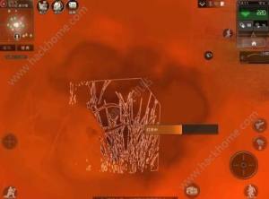 ֮ͶY ͶλýBDƬ2