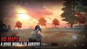 Survivor RoyaleԴȫ ֹԏDƬ1