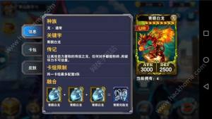 决斗之城龙族卡组搭配大全 龙族卡组搭配汇总图片1