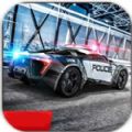 ܇ԽҰ°׿棨Police Car Offroad v1.1