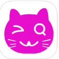 ʹappٷذװ v1.0