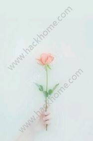 ۼtVRappD1