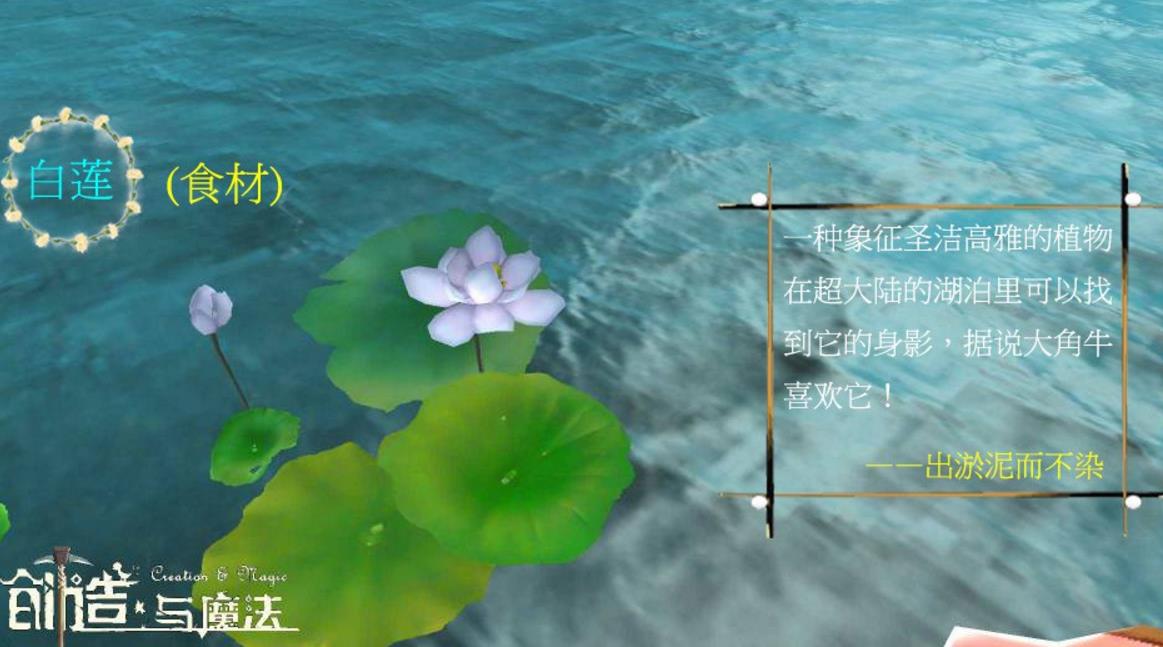 ħʲô üʳ׽
