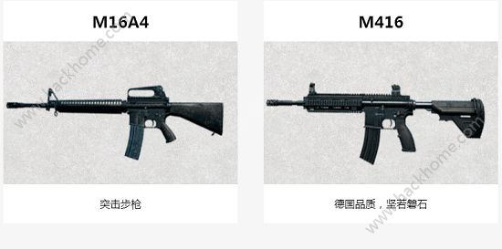 ̼սM416M16A4ĸ M416M16A4ܽ[ͼ]ͼƬ1