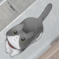 ·èĹ׿棨Lost Cat Story v1.1