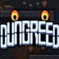 Dungreed׿