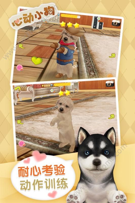 ĶСٷ°׿棨Dog Sweetieͼ1: