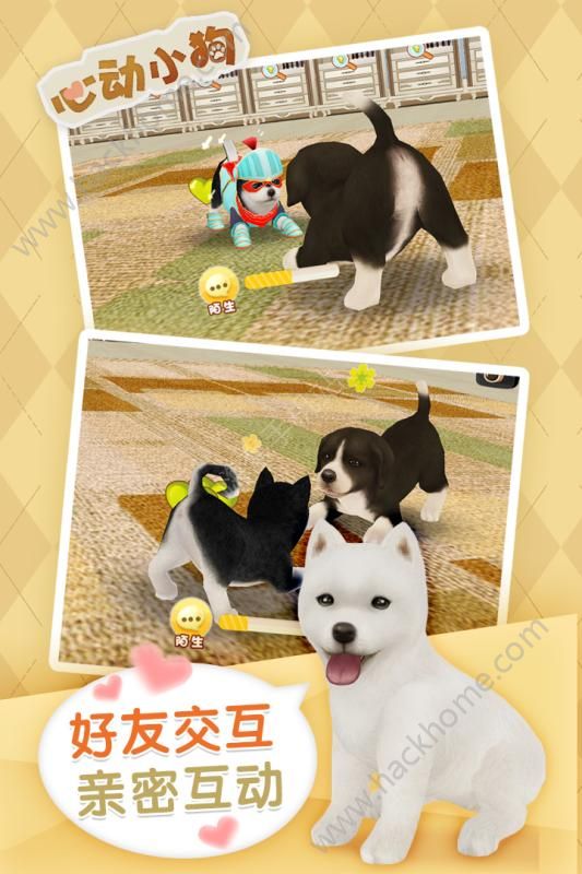ĶСٷ°׿棨Dog Sweetieͼ3: