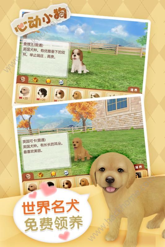 ĶСٷ°׿棨Dog Sweetieͼ2: