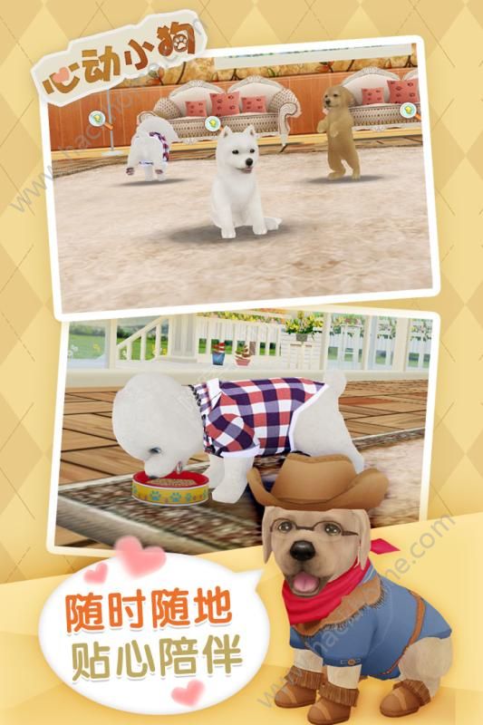 ĶСٷ°׿棨Dog Sweetieͼ4: