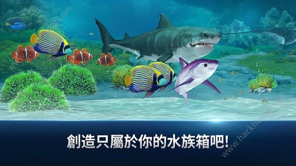 Fishing Strike~hİD4: