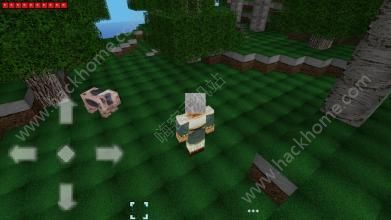 Kingdom Craft��Ϸ�ٷ�������ʽ��ͼ4: