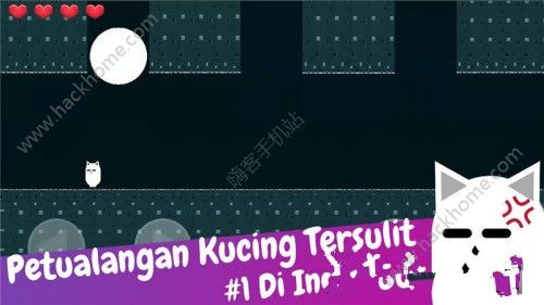 �ҵ�����ð���������İ�׿��ͼ3: