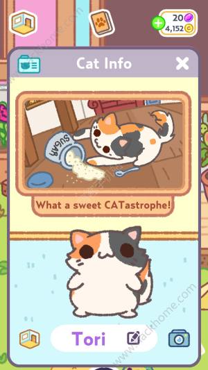 С͵è2èȫ KleptoCats2ȫèƴͼͼƬ2