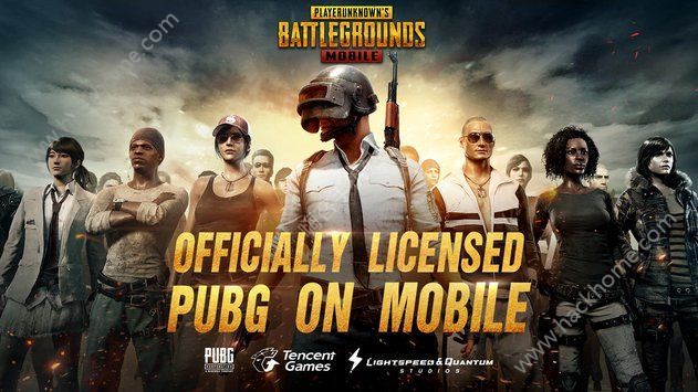 PUBG MobileԴȫ ֹԻ[ͼ]ͼƬ3