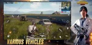 PUBG Mobile淨ܹ ѹǹɻͼƬ4