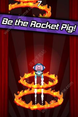 Rocket Pig游戏安卓版下载图片2