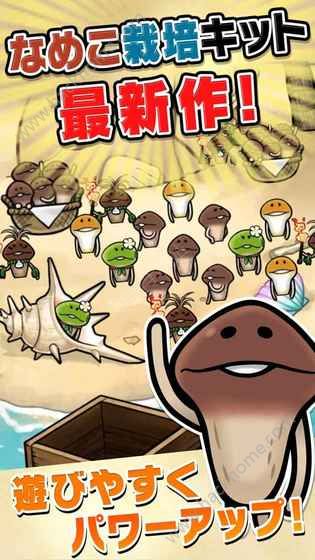 滑子菇栽培套装The World最新安卓版图片1